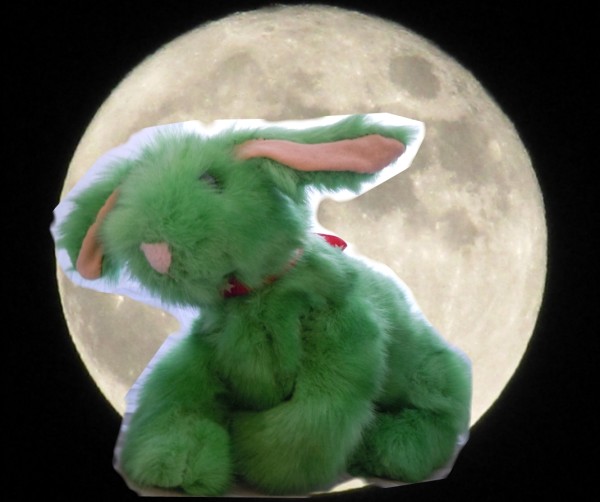Rabbit in the Moon 1